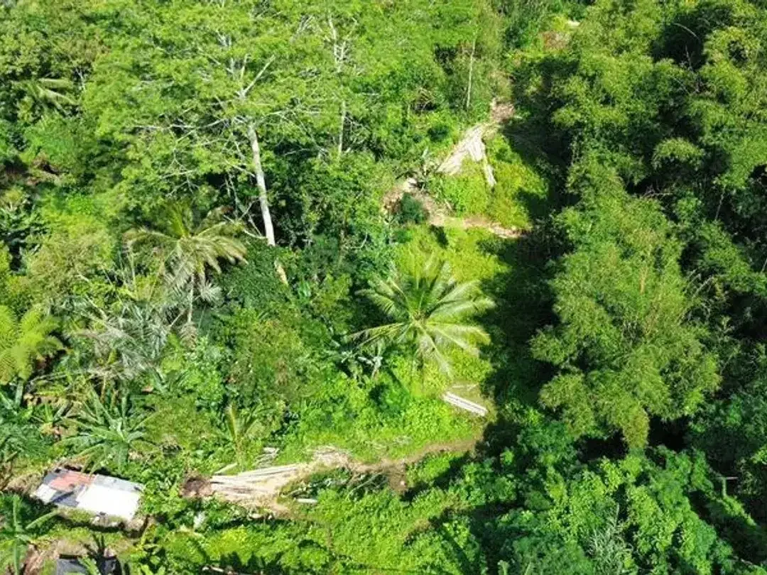 Tanah Lokasi Strategis Sebatu Ubud - Image 7 of 9