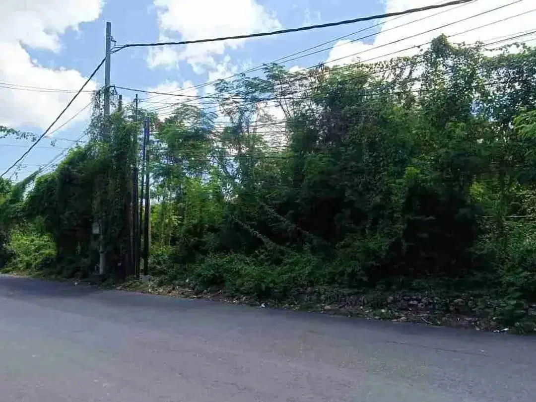 Investasi Tanah Strategis Jimbaran Bali , Kavling Luas Dekat Kawasan Premium Bali Selatan - Image 2 of 5