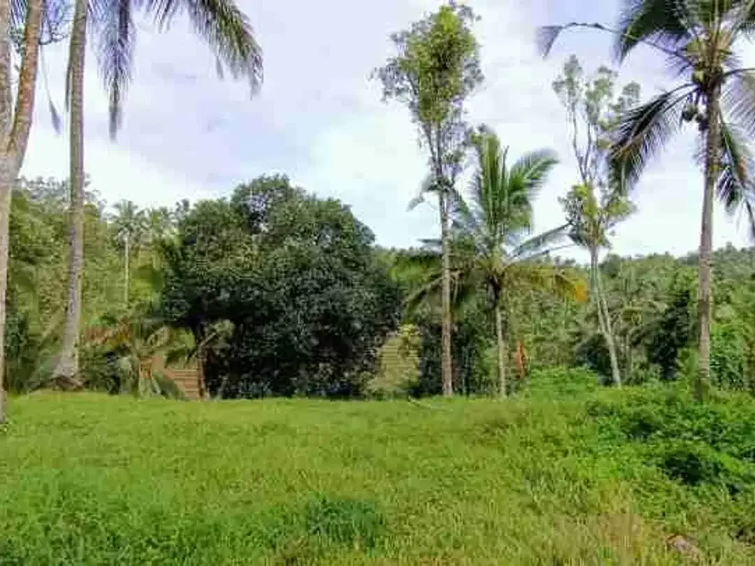 Land for Leasehold with rice field view near Bali Eco Stay - Image 4 of 5