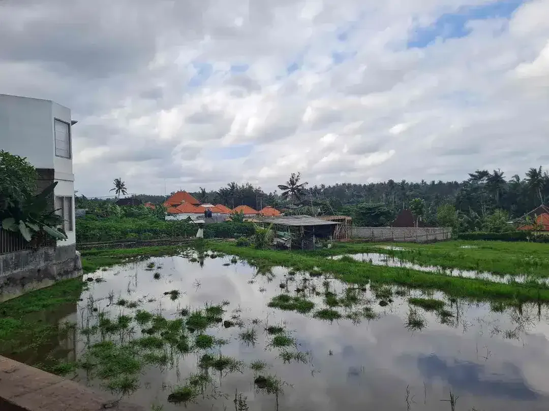 DIJUAL / FREEHOLD : Brand New 3 Unit Villa 2 Bed, Kemenuh, Ubud, Gianyar, Bali - Image 5 of 10