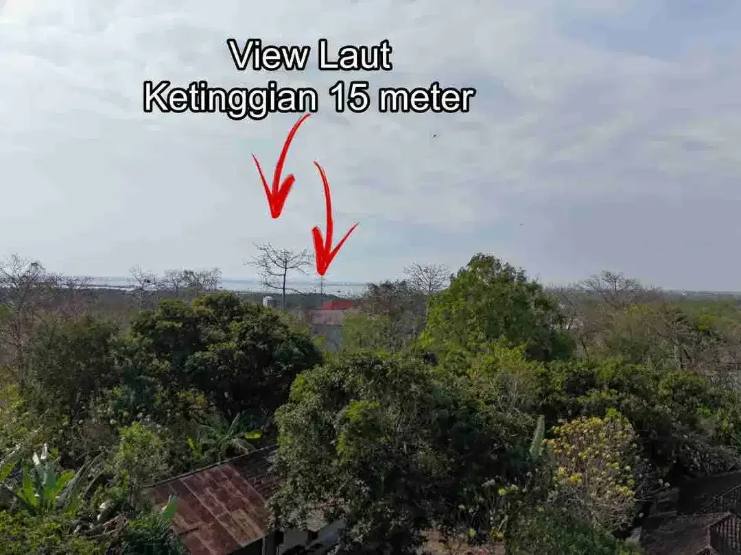 Tanah Plot Kecil Link Rumah Kost Siligita Nusa Dua Bali - Image 4 of 10