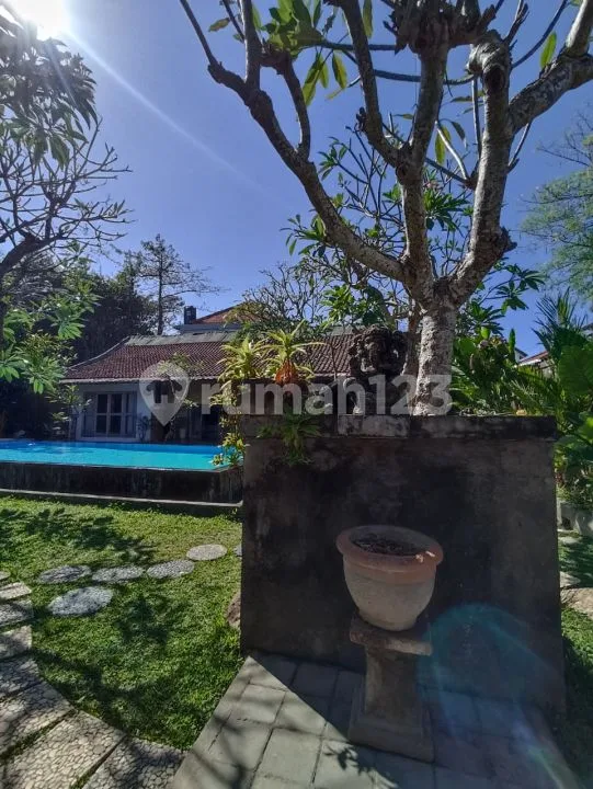 Pa186 Disewakan Rumah Villa Halaman Luas di Sanur Kauh Denpasar - Image 4 of 4