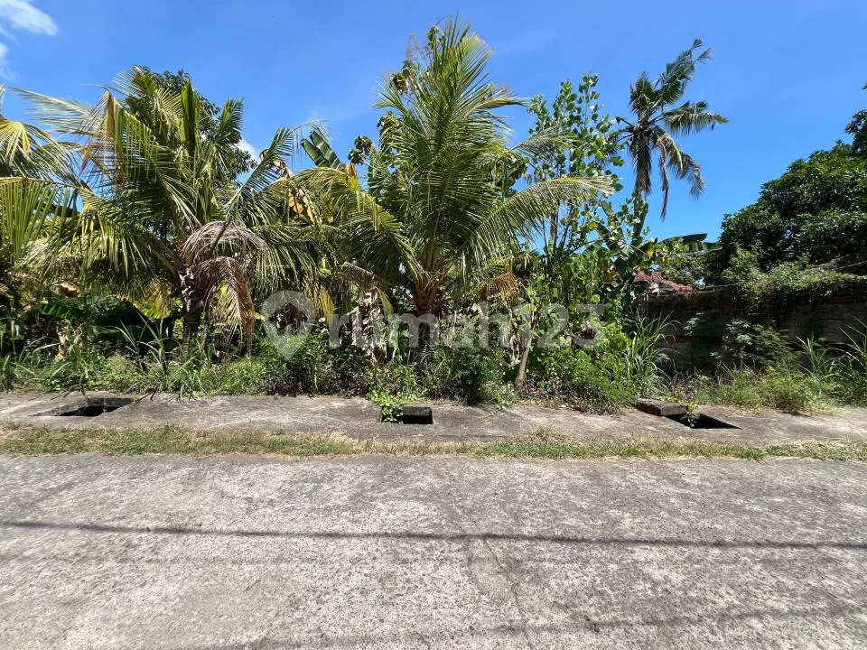Strategic 400 MÂ² Land In Lovina Growing Market - Image 1 of 4