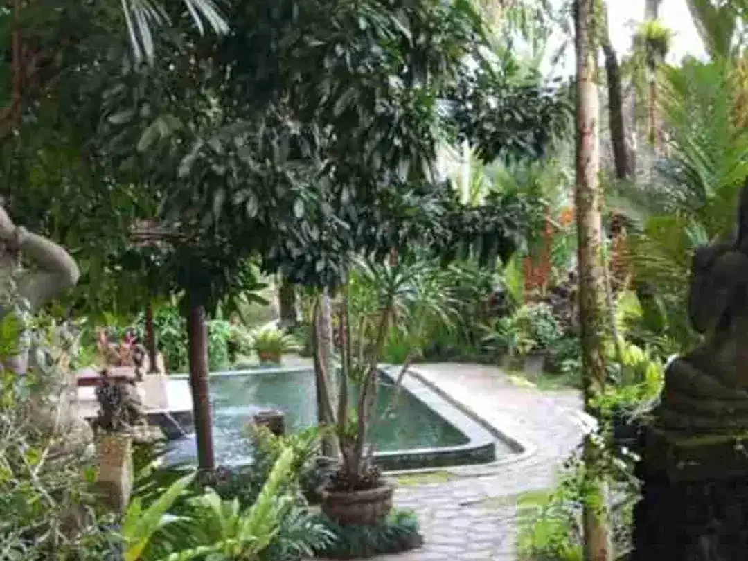 FOR SALE Ex-Resort Prime Riverfront, waterfall & Valley Resort Land in Central Ubud - Image 2 of 10