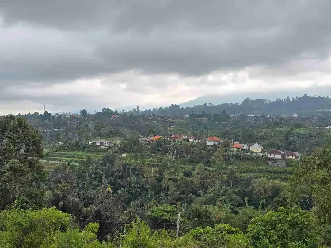 kebun dengan view gunung dan sawah penuh panorama - Image 1 of 9