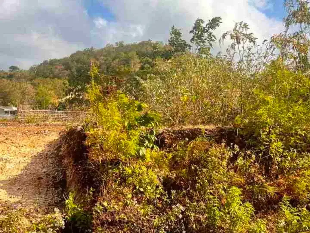 DIJUAL / DISEWAKAN TANAH PREMIUM – DREAMLAND, PECATU, BALI - Image 5 of 6