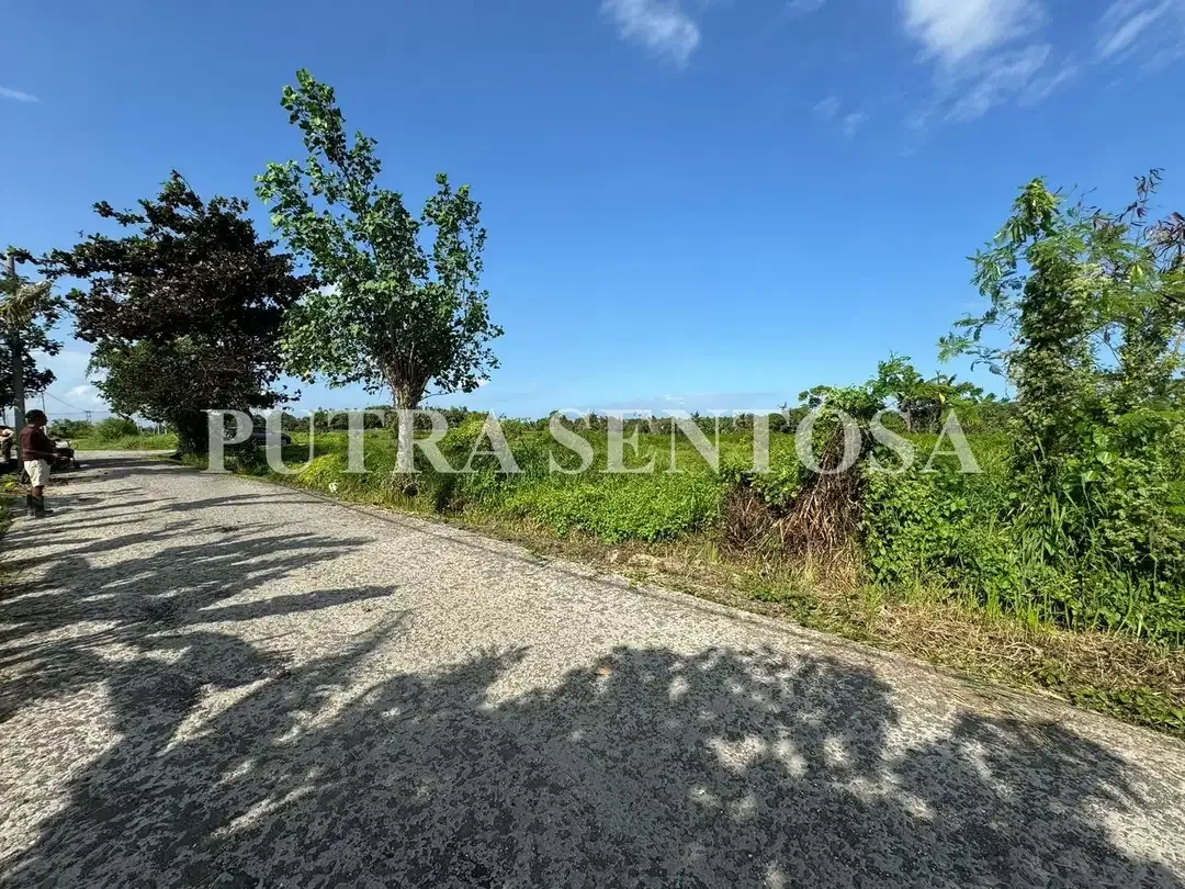 TANAH PREMIUM KEDUNGU VIEW SAWAH DEKAT KE PANTAI - Image 5 of 7