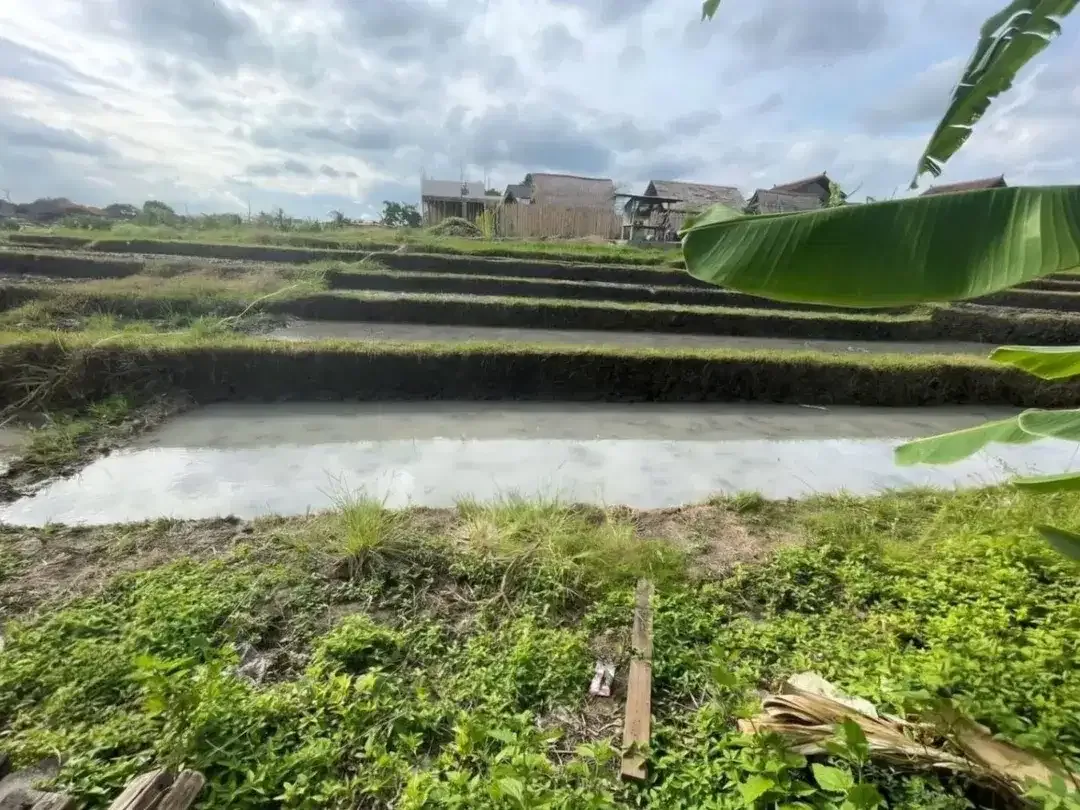 Tanah di Jantung Canggu View Sawah - Image 4 of 6