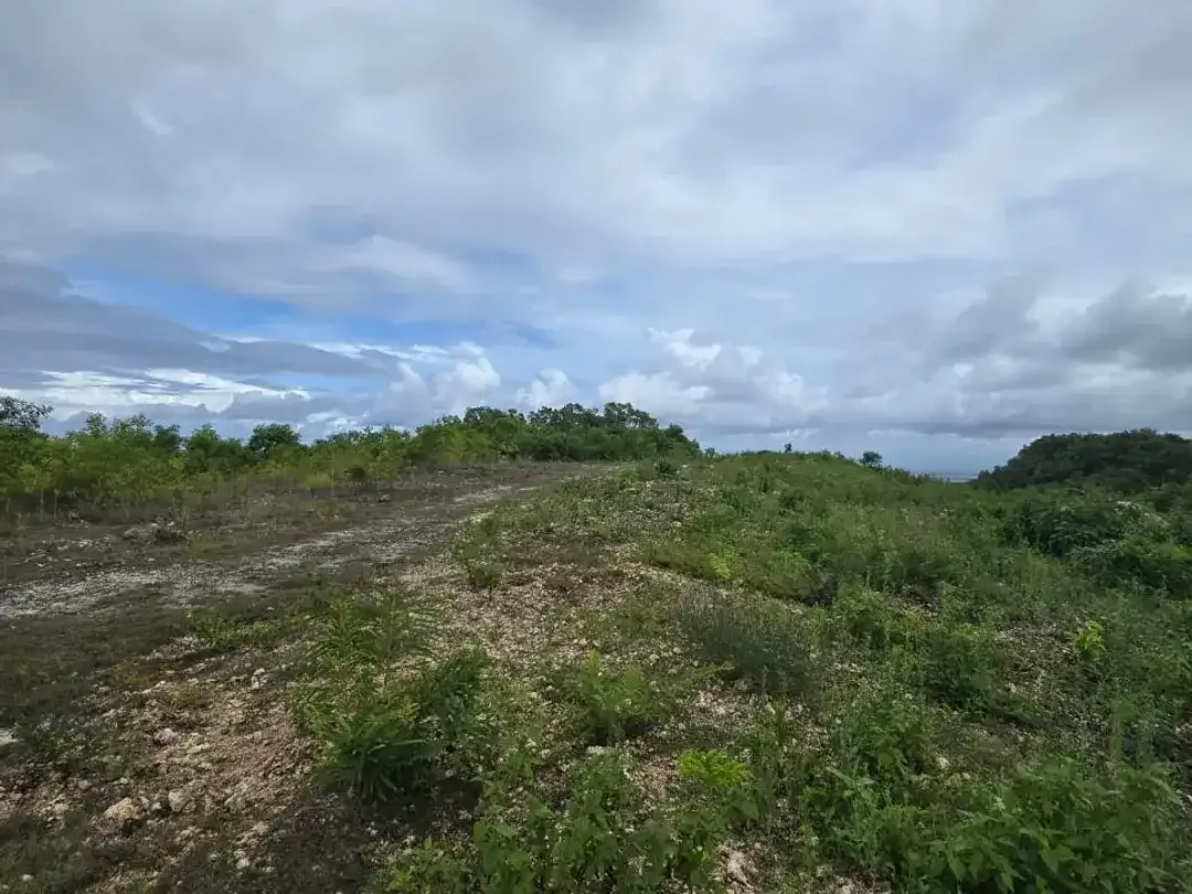 FOR SALE – Tanah Premium 1,66 Ha di Cemongkak Pecatu, Uluwatu Bali | Ocean View | SHM/Freehold | Villa Area - Image 6 of 10