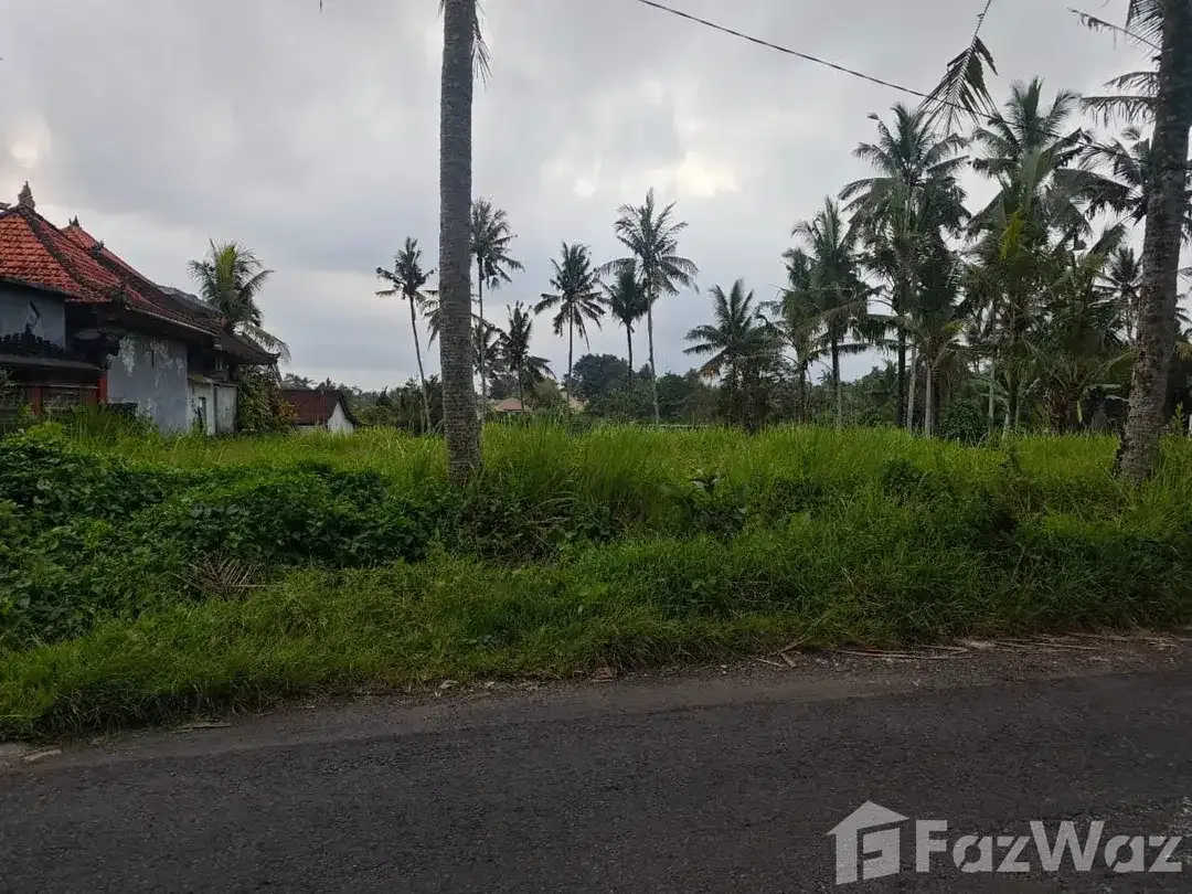 Land for sale in Ubud, Bali - Image 5 of 8