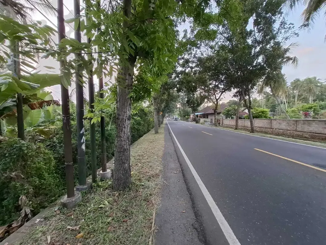 Dijual tanah kebun kelapa view sawah akses jalan propinsi di bali - Image 1 of 10
