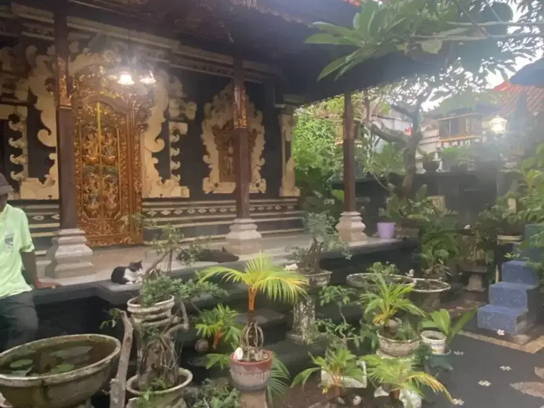 DIJUAL TANAH BONUS RUMAH STYE BALINES - Image 1 of 3