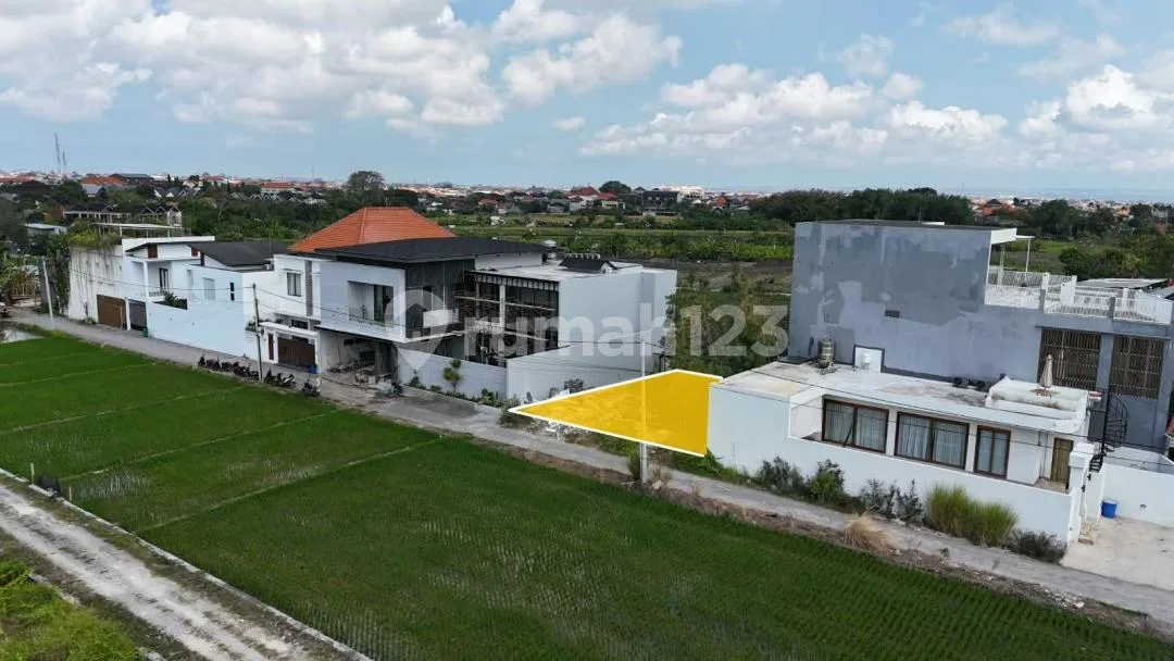 Tanah Plot Kecil Link Villa View Sawah Kedampang Kerobokan - Image 4 of 4
