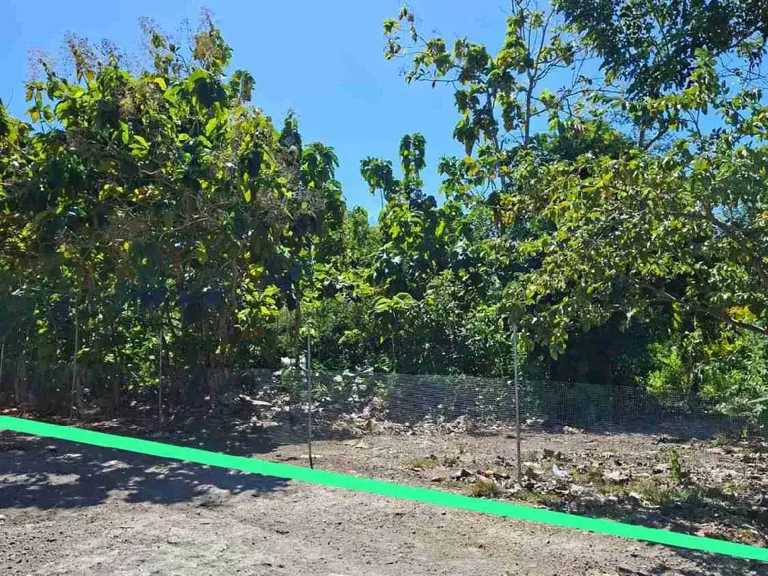Tanah bagus sangat langka cocok untuk di bangun villa - Image 2 of 7