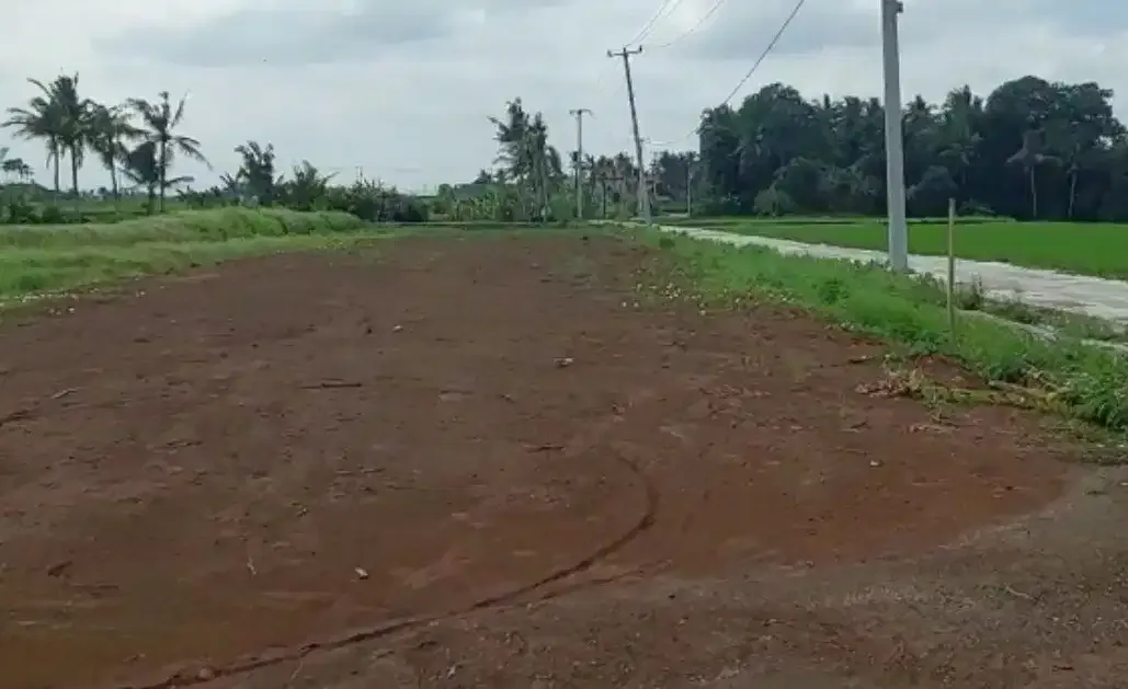 DIJUAL TANAH DEKAT PANTAI KEDUNGU TABANAN - Image 2 of 6