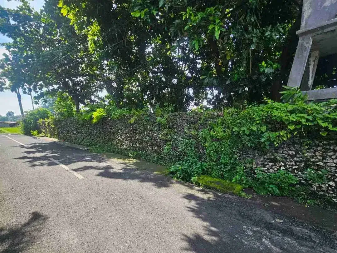 DIJUAL TANAH UMALAS KUWUM KEROBOKAN - Image 2 of 7