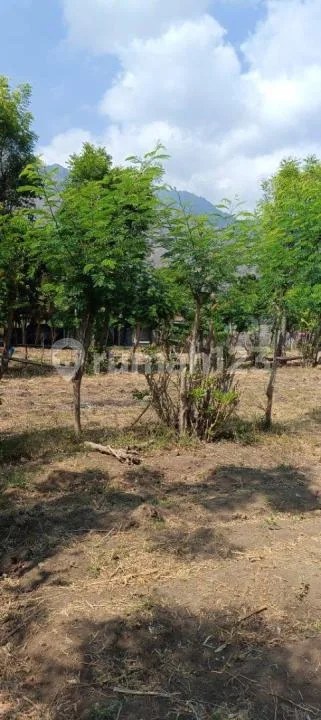 For Sale Land 12 Are With Fantastic Moutain View And Close To The Beach In Pemuteran - Image 4 of 4