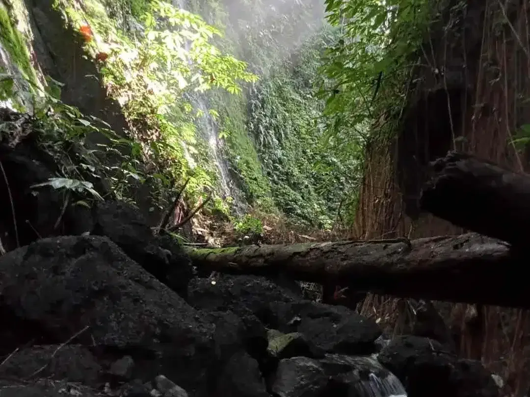 Tanah Sidemen jungle Riceview - Image 3 of 10