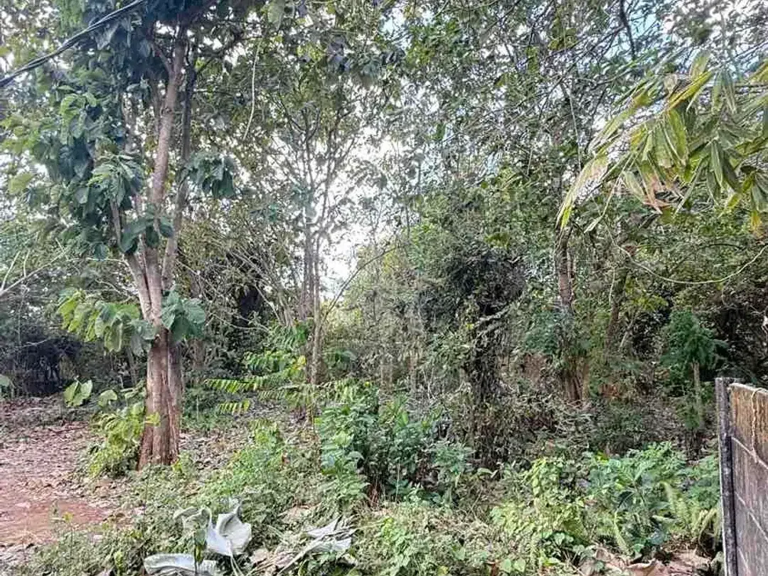 DIJUAL TANAH 2 MENIT KE KAMPUS UNUD JIMBARAN – COCOK UNTUK KOS & GUESTHOUSE - Image 8 of 10
