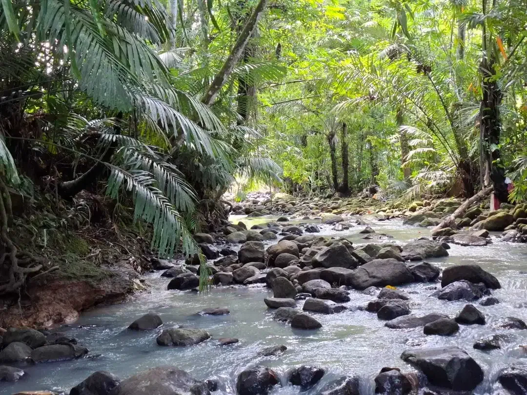 Dijual tanah cantik los sungai dan view sawah di tabanan bali - Image 2 of 10
