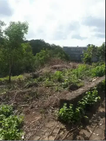 DIJUAL TANAH 32 ARE DI BALANGAN UNGASAN KUTA SELATAN BALI - Image 3 of 9