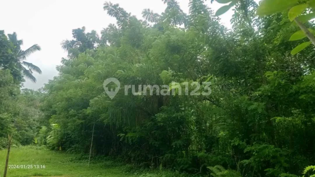 For Sale 6 Are Land Close To Tirtagangga - Image 2 of 4