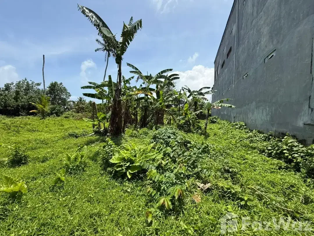 Land for sale in Kedungu, Bali - Image 6 of 10