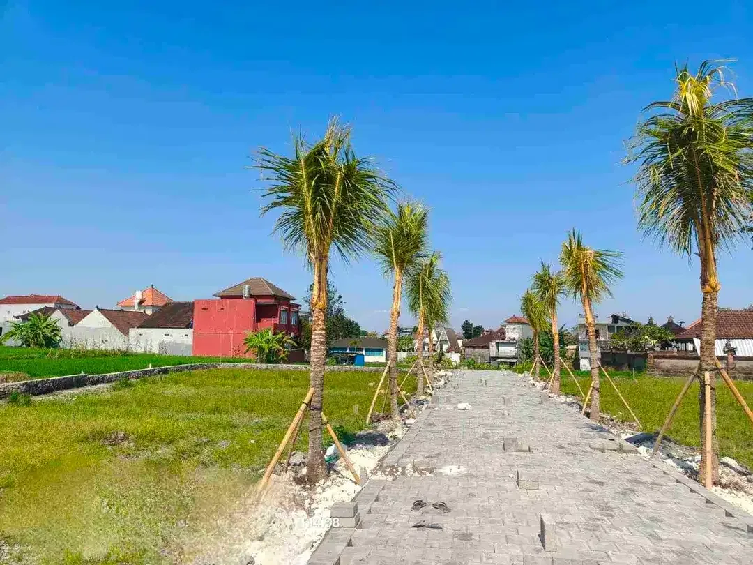 Di jual tanah kaplingan aspek perumahan di buduk dengan view sawah dan tidak jauh ke arah Canggu - Image 3 of 6
