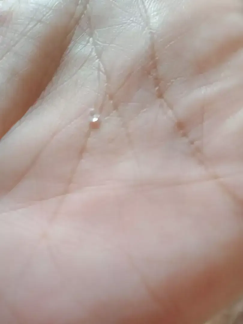 DIAMOND ANT SIZE - Image 2 of 2