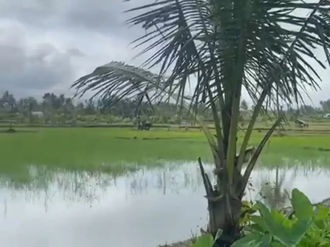 Land for sale in Ubud, Bali - Image 5 of 5
