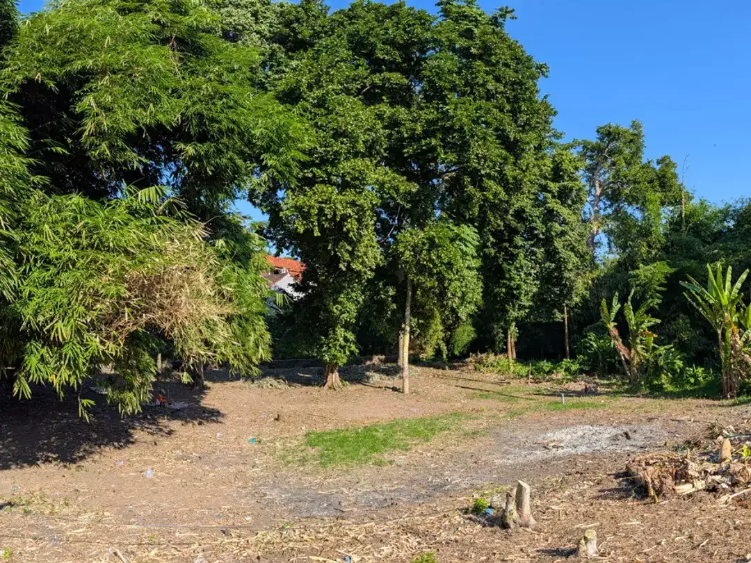 Leasehold - Riverside Land with Mature Trees & Ready Infrastructure in Canggu, Bali - Image 4 of 10