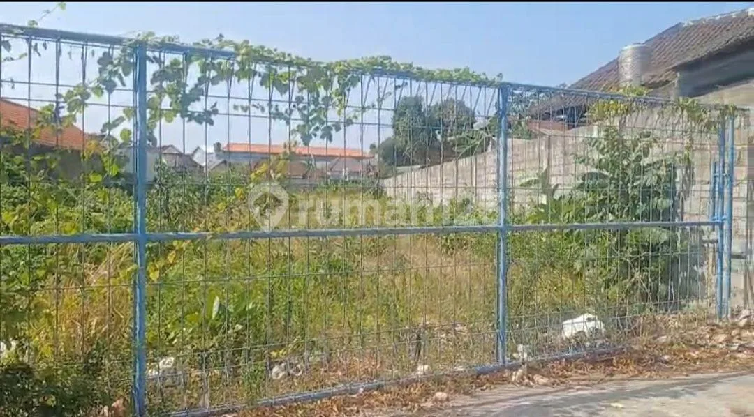 Tanah Rata,.Dekat Akses Tol, Premium 1550 Meter, Pagar Keliling, Siap Bangun, di Bypass Nusa Dua Bali- Lokasi Emas untuk Investasi & Bisnis - Image 1 of 4