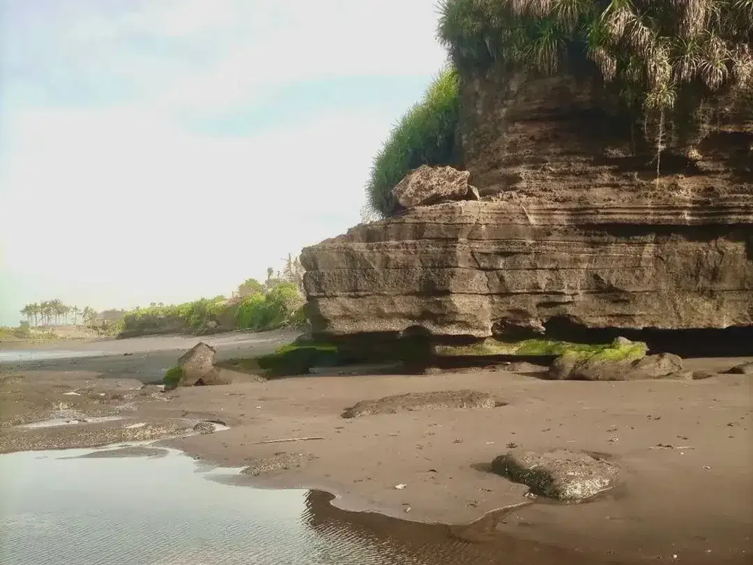 Tanah los pantai nyanyi tabanan - Image 4 of 10