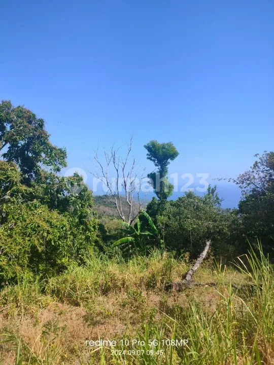 Ocean View! 1,8ha Ds Tunjung Kubutambahan Dekat Calon Bandara Baru - Image 3 of 4