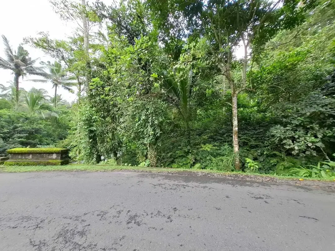Dijual tanah kecil los sungai besar di tabanan bali - Image 7 of 8