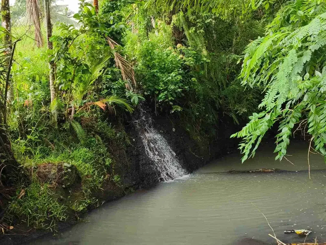 di jual tanah strategis dekat pantai zona pink Los sungai view sawah di tabanan bali - Image 1 of 9