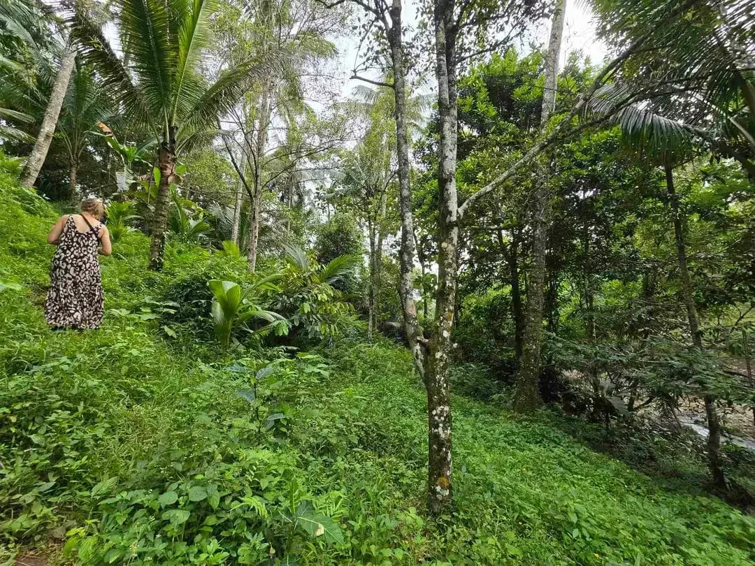 Dijual tanah dengan air terjun dan sungai bebatuan di bali - Image 8 of 10