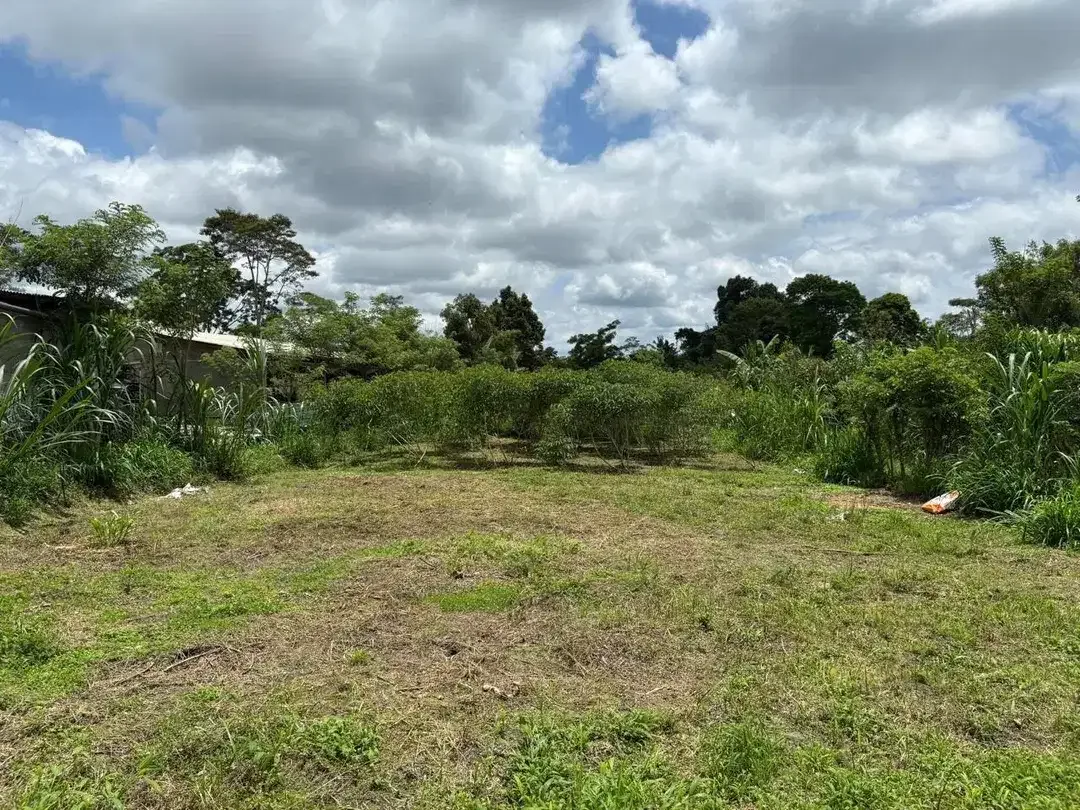 DIJUAL TANAH KAVLING SHM DI DESA TARO, UBUD, BALI - Image 9 of 10