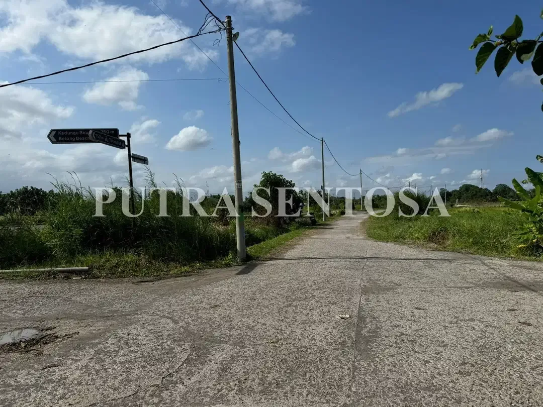 TANAH PREMIUM KEDUNGU VIEW SAWAH DEKAT KE PANTAI - Image 7 of 7