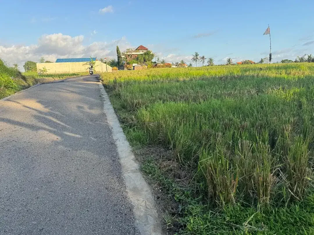 TANAH KAVLING CEMAGI BADUNG 1 MENIT KE PANTAI - Image 2 of 3