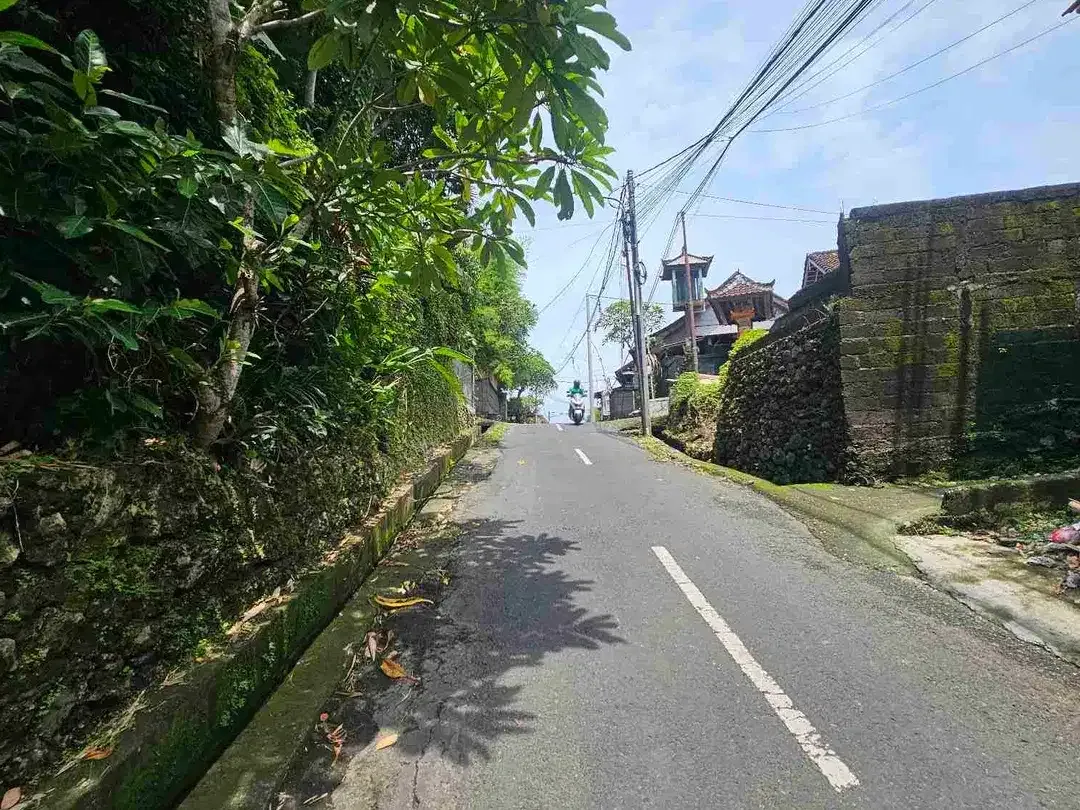 dijual tanah kosong lokasi padonan canggu - Image 5 of 5