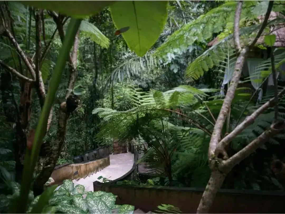 DIJUAL RESORT DAN VILLA MEWAH DI KAWASAN UBUD BALI - Image 8 of 10