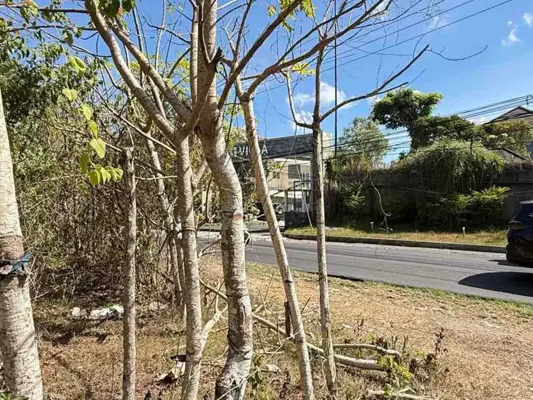 DIJUAL TANAH STRATEGIS DI DEPAN i-Villa GOA GONG – UNGASAN, BALI - Image 2 of 10