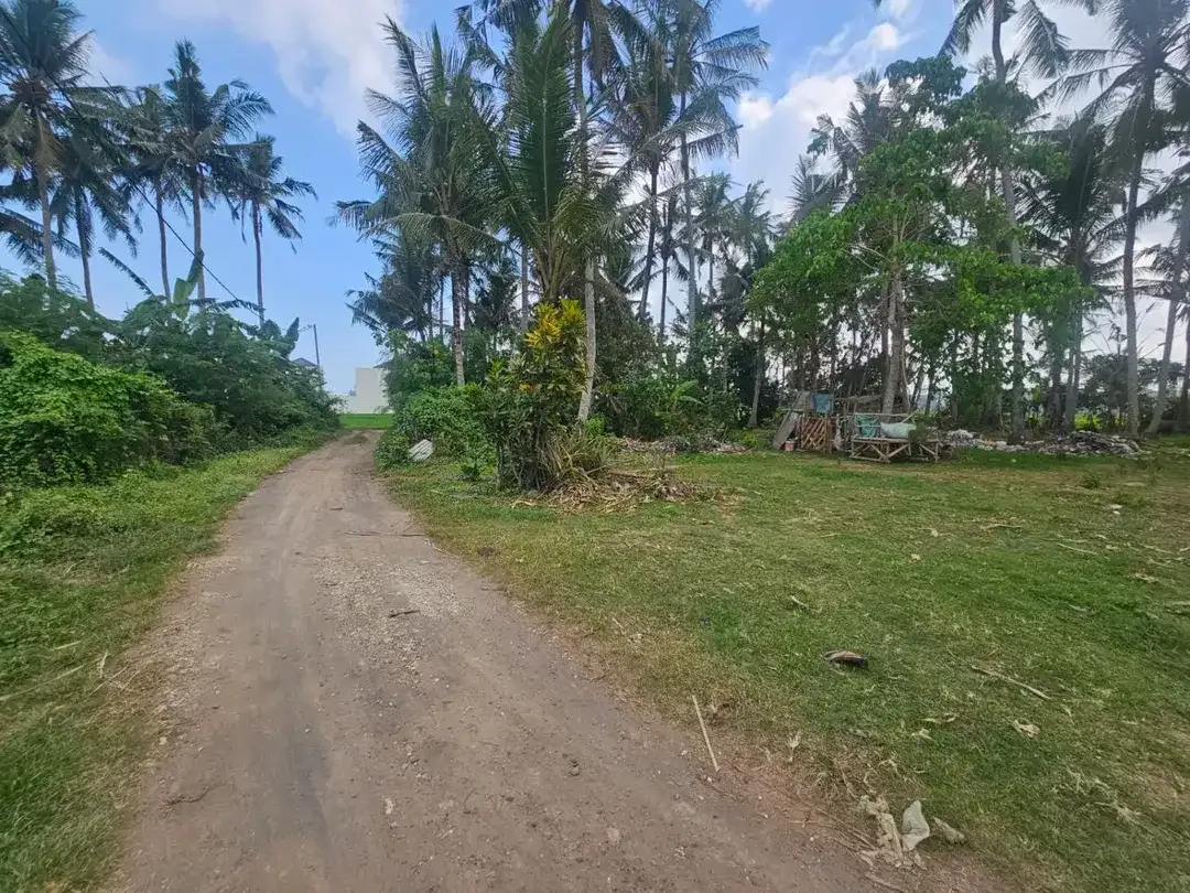 Dijual tanah ada pohon kelapa lokaso ciputra pangkung tibah tabanan Lingkungan villa - Image 2 of 5