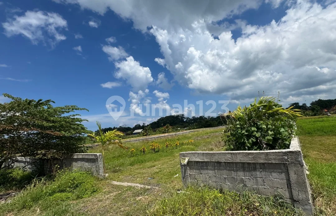 Tanah Dekat Pantai di Tabanan - Image 3 of 4