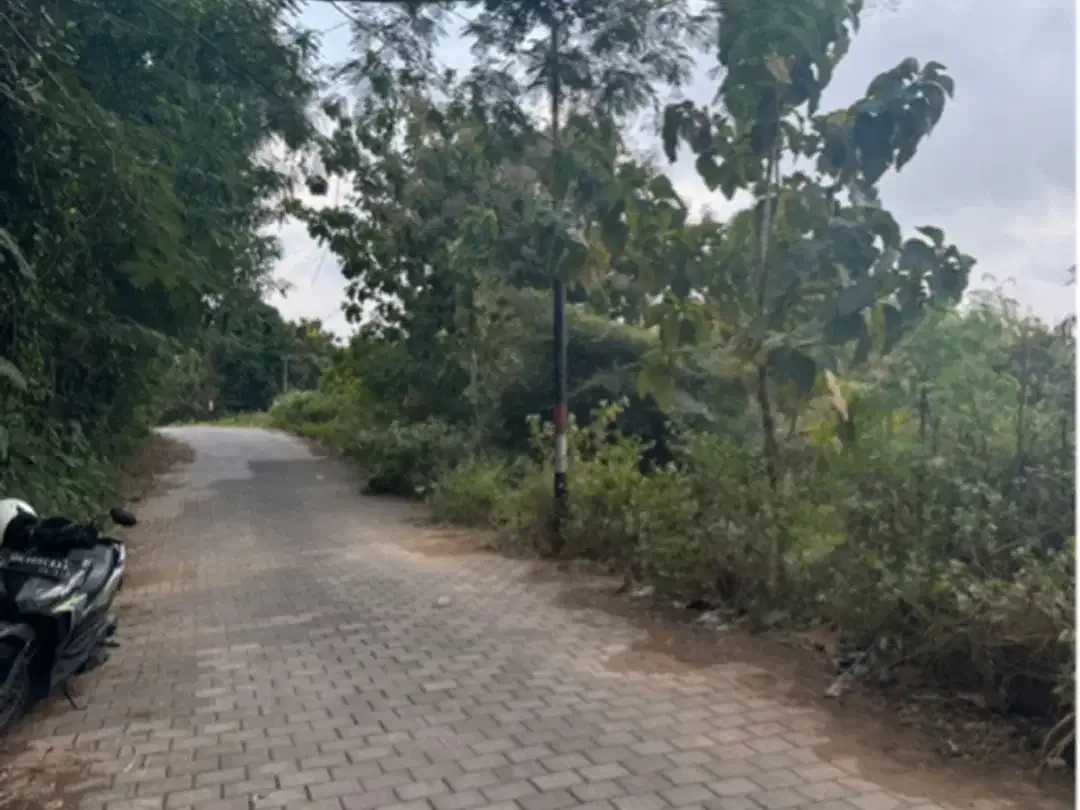 Leasehold land 52 acre Toyaning Melasti Beach - Image 3 of 7