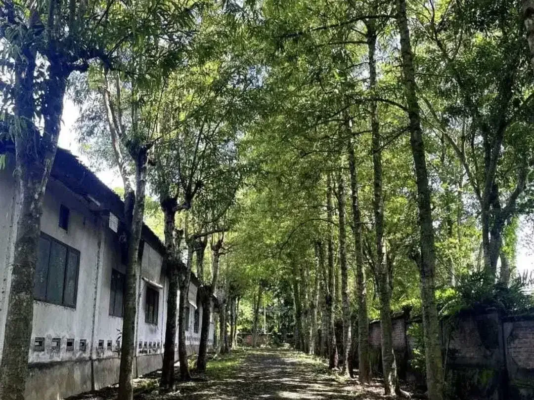 Land for sale in Kaba Kaba, Bali - Image 7 of 10