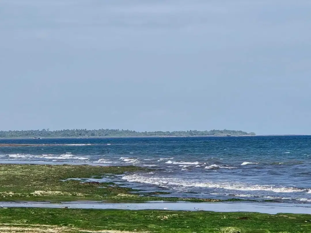 Dijual tanah kecil los pantai di bali - Image 2 of 10