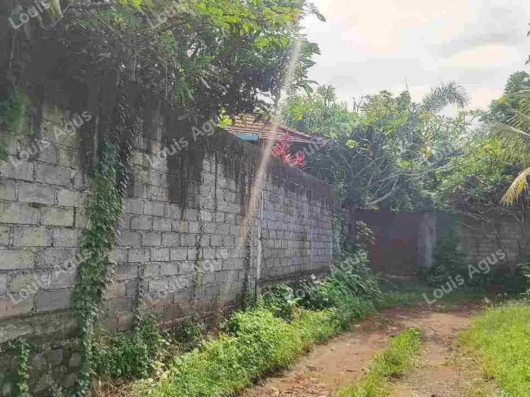 VILLA DAN PENDOPO STRATEGIS DI JL. SELUKAT - KERAMAS, GIANYAR, BALI - Image 5 of 5