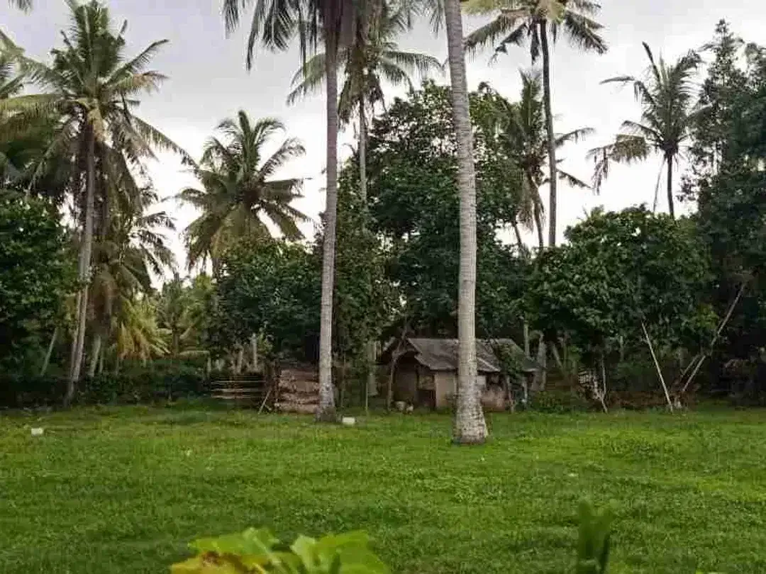 Dekat Pantai Pasut! Lahan Komersial 800m² Harga Menarik - Image 2 of 10